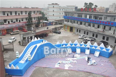 Tùy chỉnh con dấu răng trượt inflatable n trượt mùa hè thổi lên nước slide