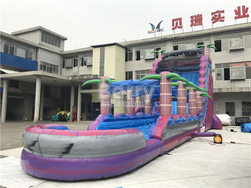Trẻ em màu tím dành cho người lớn Inflatable Slide nước với hồ bơi, trượt n Slide