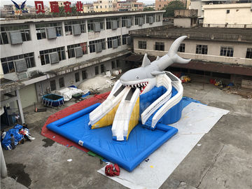 Thiết bị di động ngoài trời Shark Shark Đặc biệt Bể bơi bơm hơi khổng lồ / Công viên nước