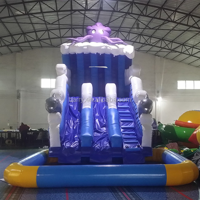 Sân sau Khu dân cư 18ft Double Bơm hơi Trượt nước In kỹ thuật số