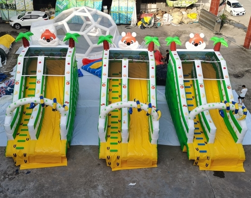 An toàn Người lớn Kích thước PVC Bơm hơi Trượt nước Chống cháy